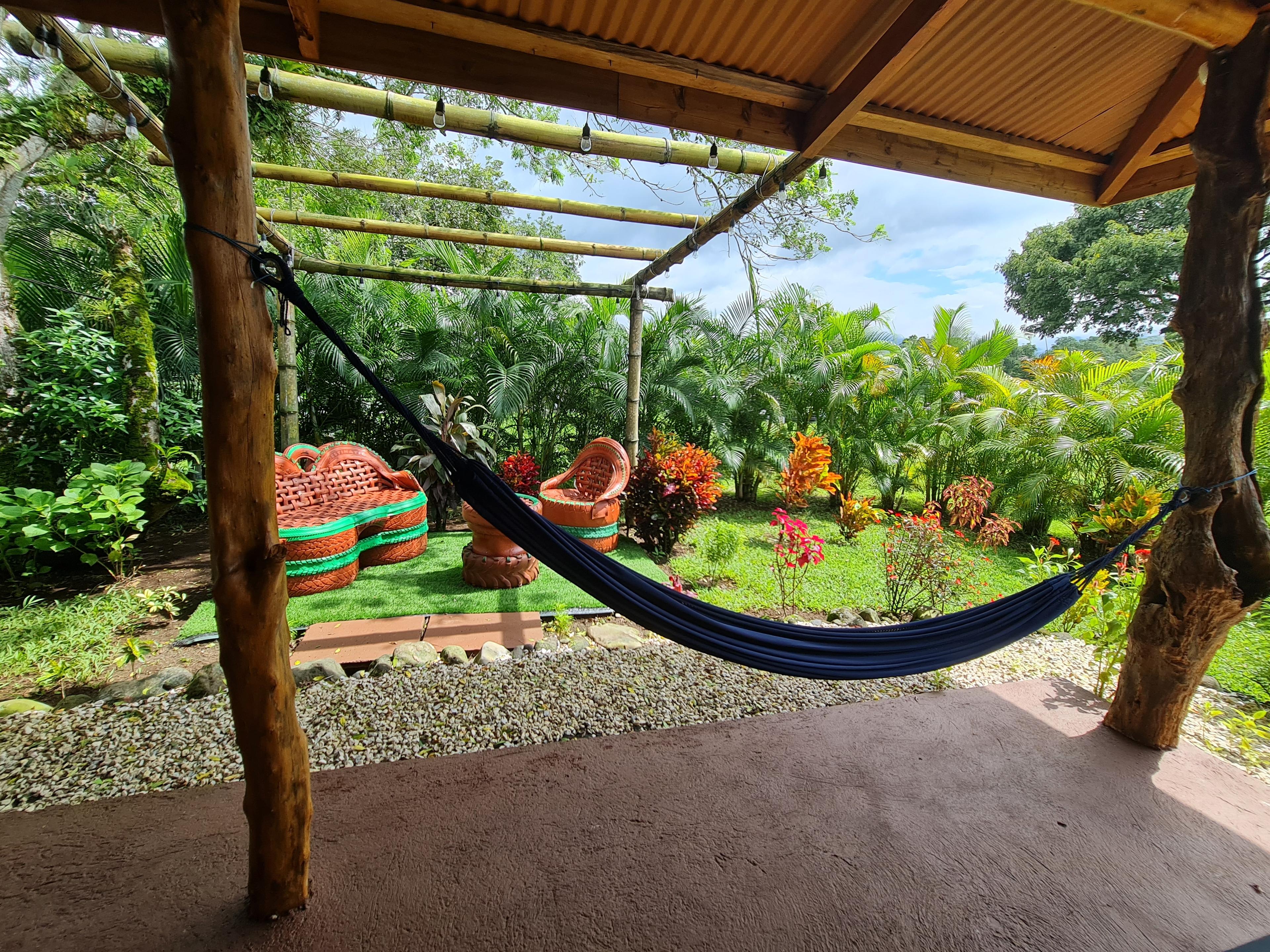 Mono curioso asomándose a través del follaje exuberante cerca de la cabaña Eco Container en La Fortuna.