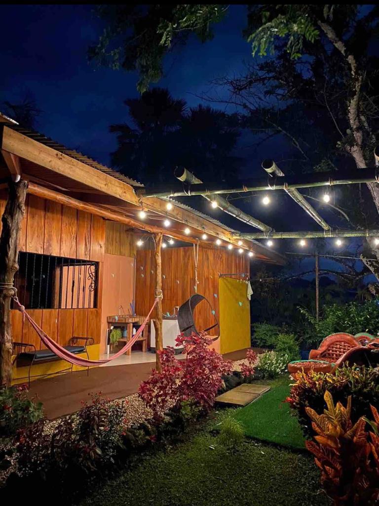 Vida silvestre local, un perezoso colgando de un árbol cerca de la cabaña Eco Container.